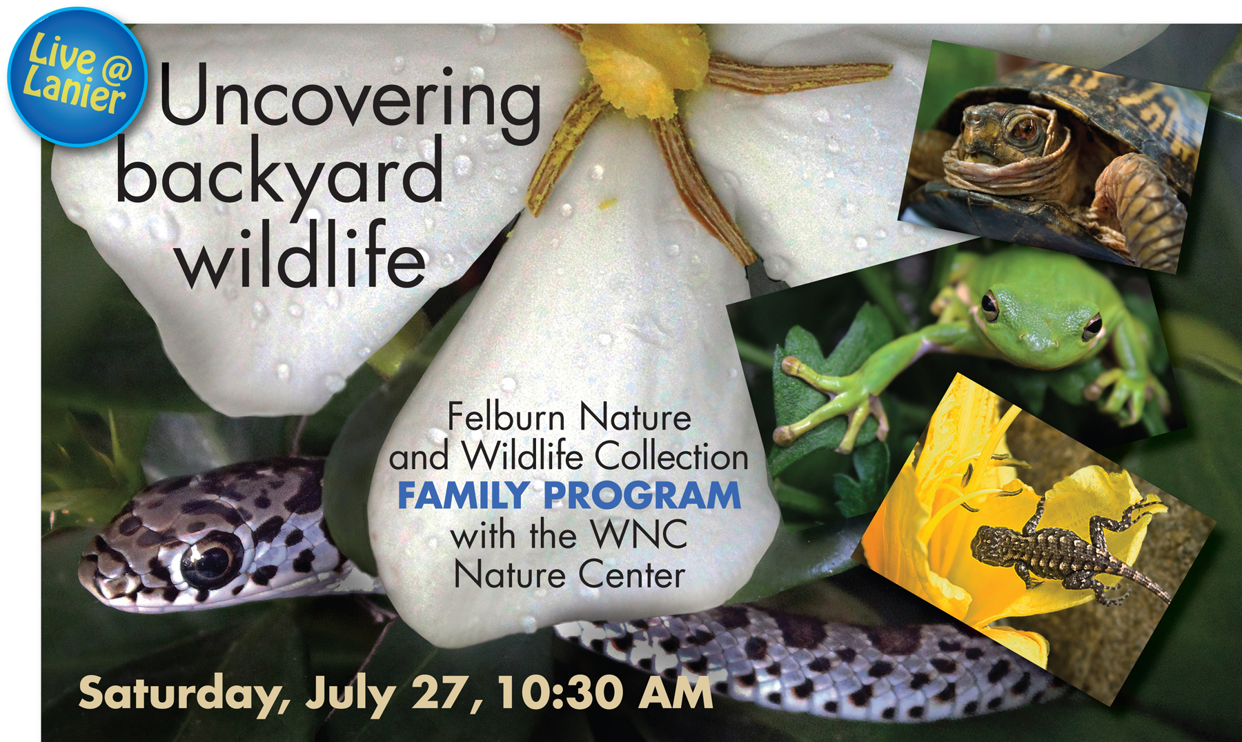 Uncovering Backyard Wildlife Lanier Library Tryon NC