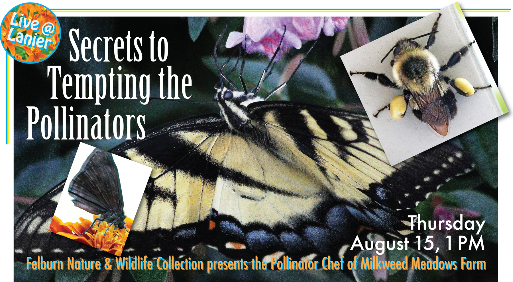 secrets to tempting the pollinators lanier library tryon nc