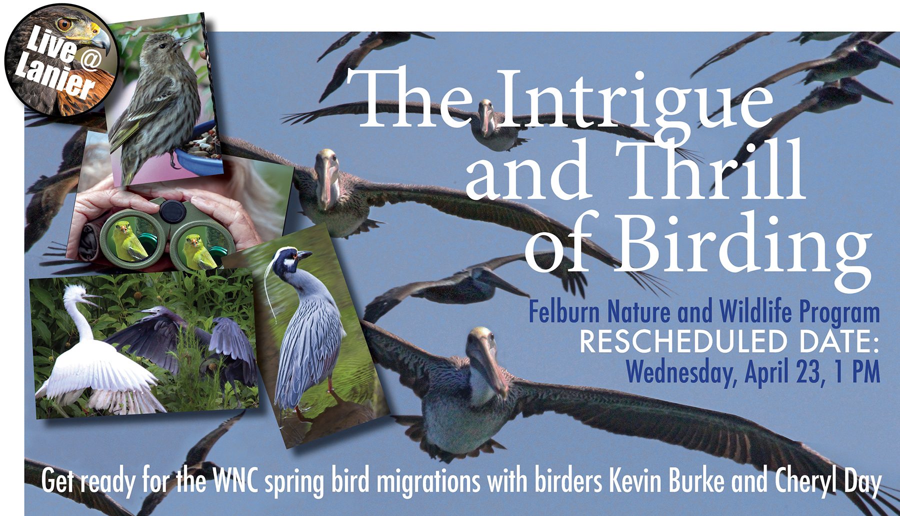 Lanier Library Intrigue and thrill of Birding Tyon NC